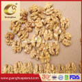 Raw Walnut Kernels with Good Taste and Best Quality